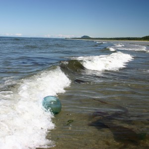 2007-06 Otto.ball.wave