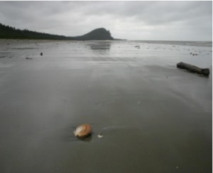 View from North Beach looking west to Tow Hill