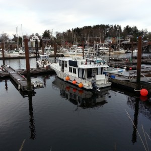 WP_20150108_007 Private Marina with our Cuxhaven and public wharf in the background