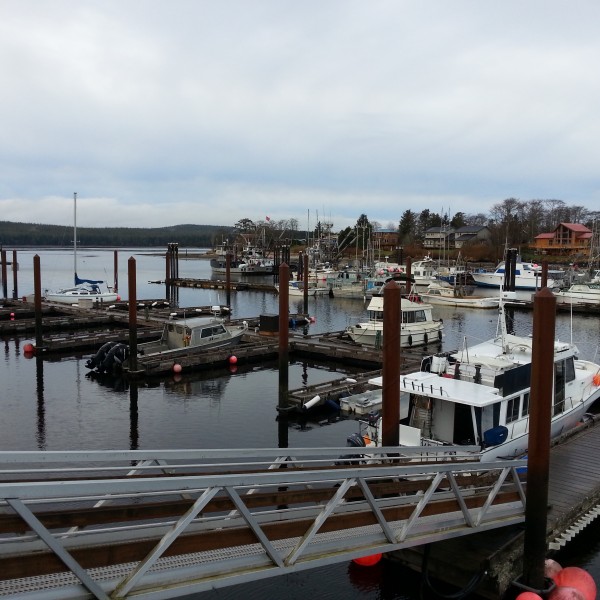 WP_20150108_008 Private Marina with our Cuxhaven and public wharf in the background